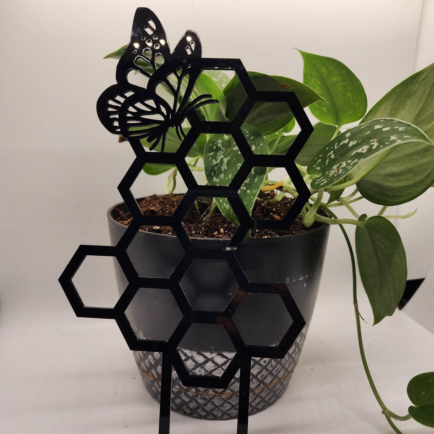 Inside plant trellis, Butterfly plant trellis black 11 inches tall